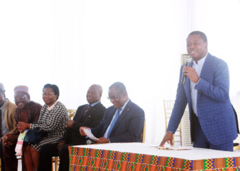 TOUR NATIONAL DE PRÉSENTATION DU PND: LE CHEF DE L’ETAT, FAURE GNASSINGBÉ A PRÉSIDE LA PREMIÈRE ETAPE A TSÉVIÉ