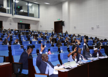 L’ASSEMBLEE NATIONALE : LES DEPUTES APPROUVENT LE BUDGET, GESTION 2020