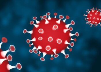 CORONAVIRUS (COVID-19)   SYMPTÔMES, SITUATION ET MESURES  DE PRÉVENTION