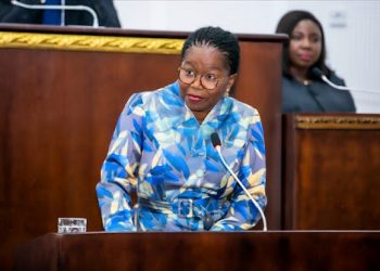 LE NOUVEAU GOUVERNEMENT TOGOLAIS REÇOIT L’APPROBATION DES DÉPUTÉS